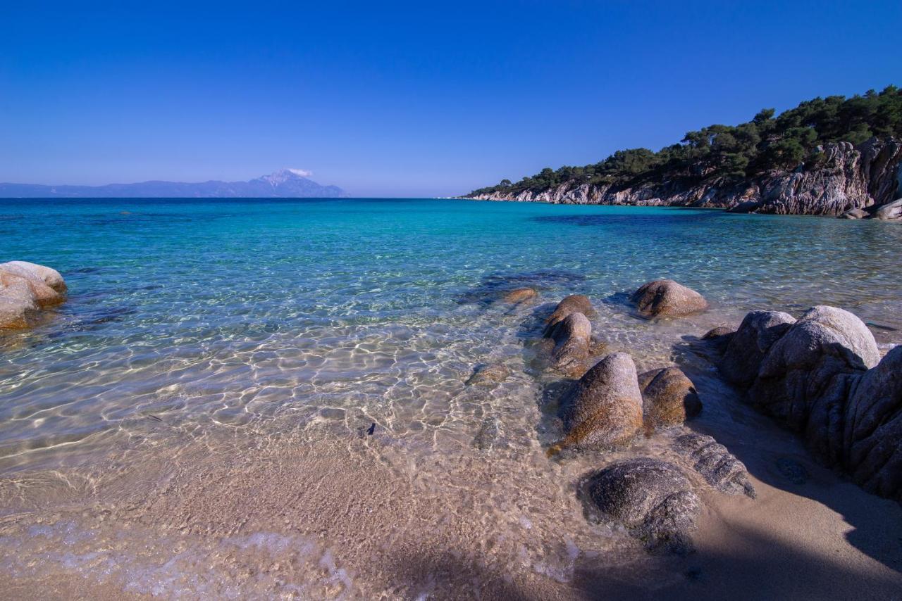 Stavroula'S Paradise House Aparthotel Sykia Chalkidikis Exteriör bild